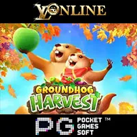 Groundhog Harves