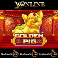 Golden Pig